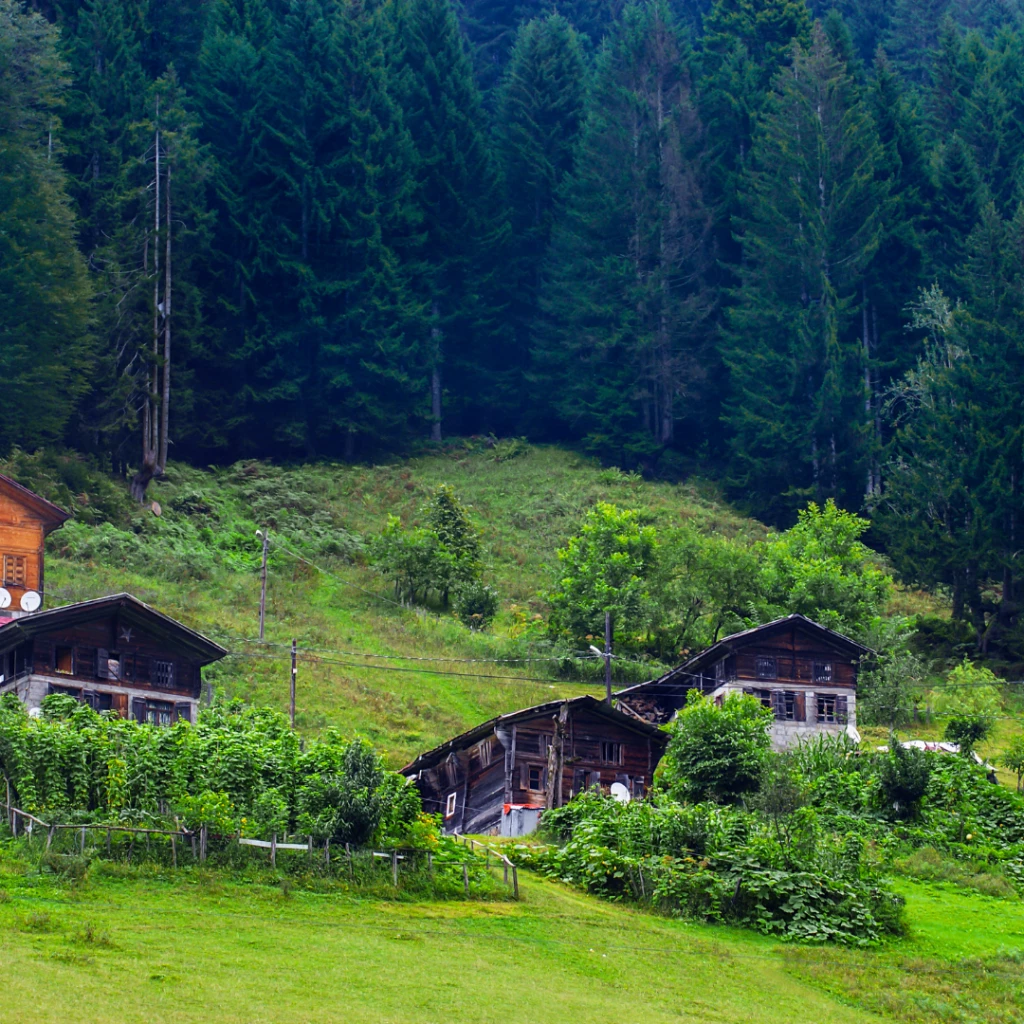 Чорноморський рай