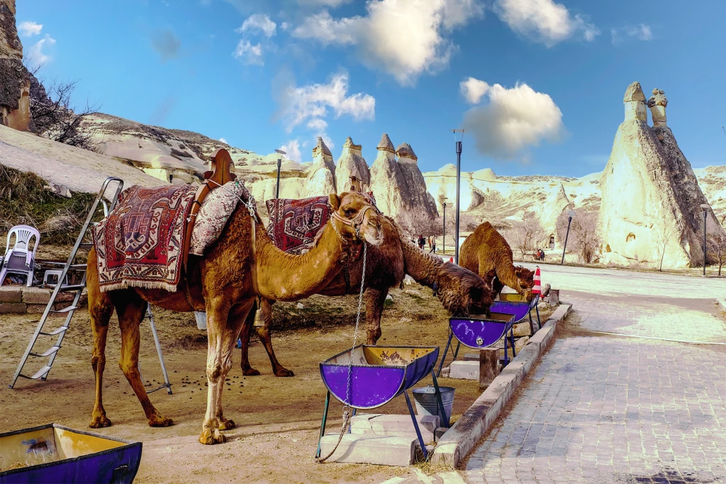 Kappadokien-Tour mit dem Kamel