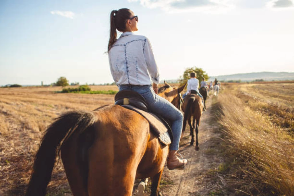 Kusadasi Horse Safari Tour
