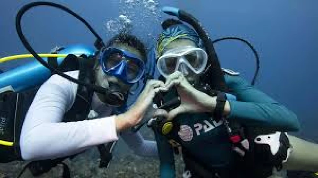 Kusadasi Diving Experience