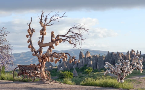 Tur privat roșu Cappadocia