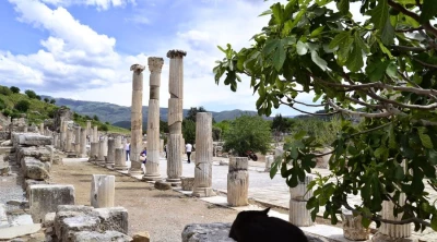 以弗所之旅土耳其评论：为什么这是一个必须经历的旅程？