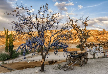 Private Mix Cappadocia Tour