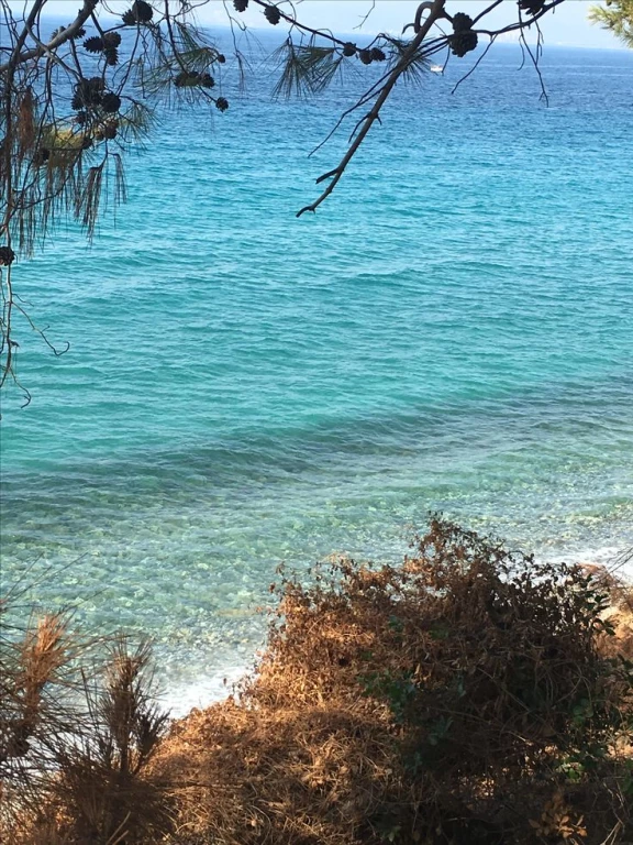 Wycieczka nurkowa Kusadasi