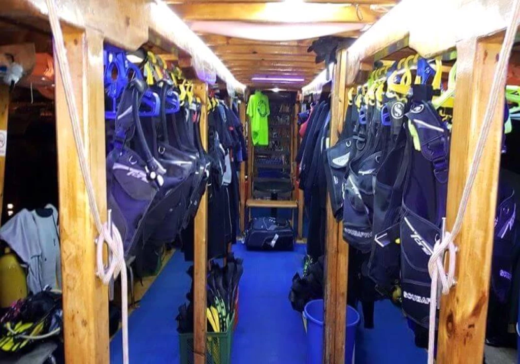 Bodrum Scuba Diving Tour