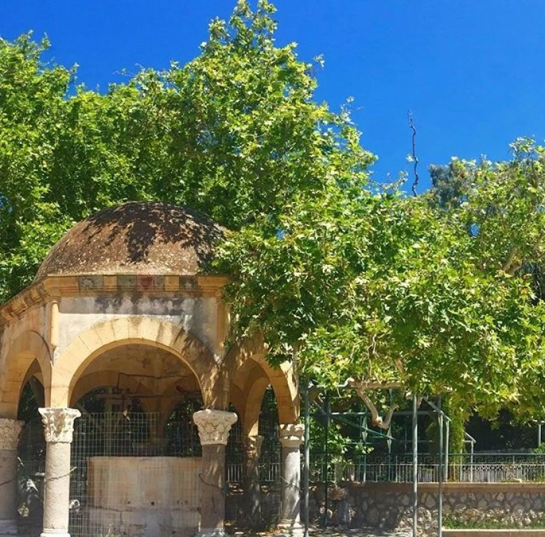 CODZIENNA WYCIECZKA NA KOS