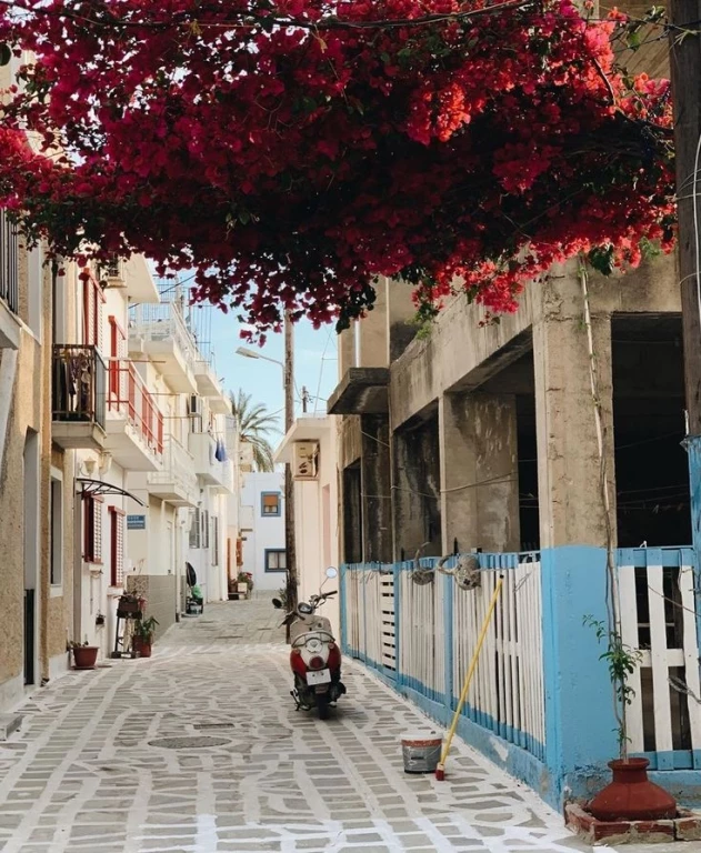 CODZIENNA WYCIECZKA NA KOS