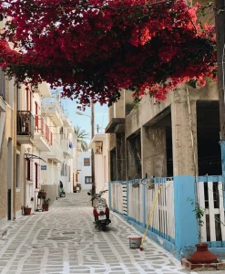 CODZIENNA WYCIECZKA NA KOS