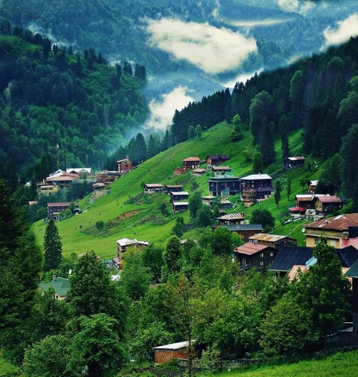 A Tranquil Escape in the Heart of Nature, Ayder Plateau