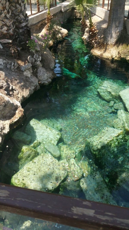 Pamukkale's Enchanting Essence: An Unparalleled Discovery Where Nature and History Unfold