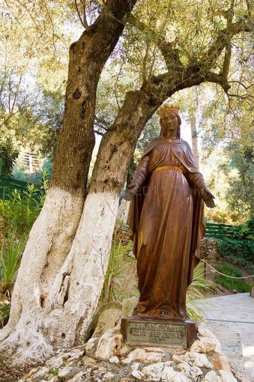 Timeless Odyssey: Ephesus-Selcuk Tour Unveiling Ancient Marvels