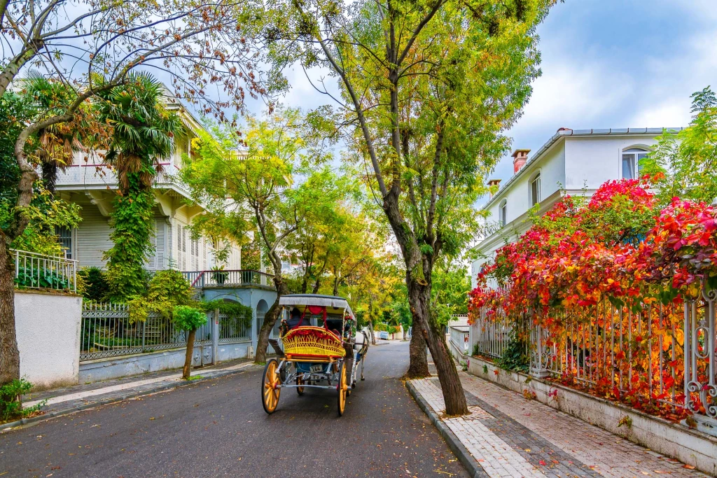 6 Nights Istanbul Tour