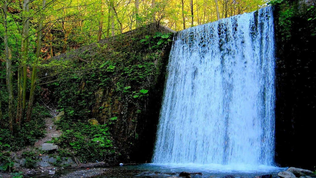 Sapanca Masukiye Nature Tour