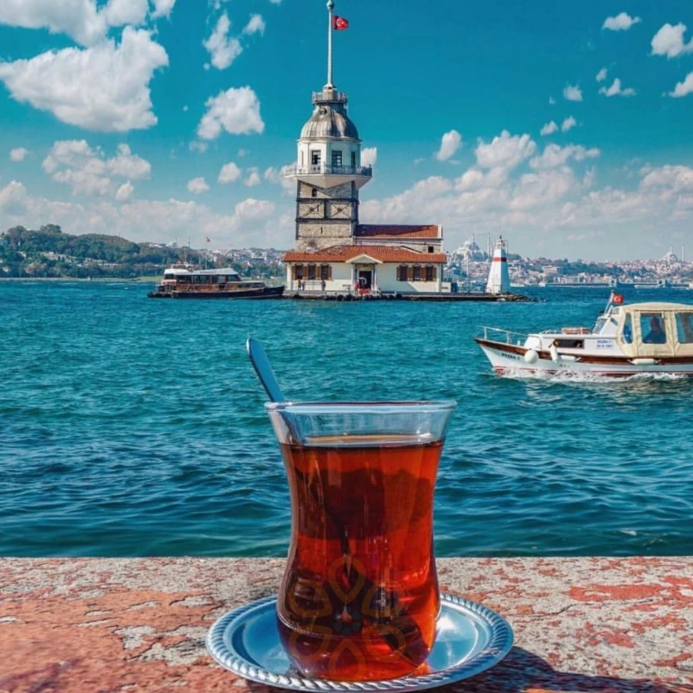 Contrasts of Istanbul private tour