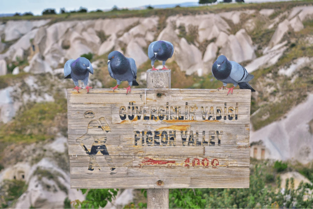 Cappadocia Blue (South) Tour