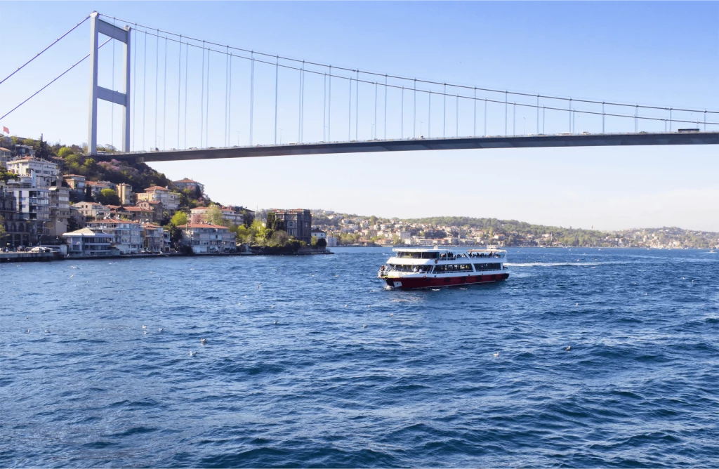 Bosphorus Dinner Cruise Experience in Istanbul