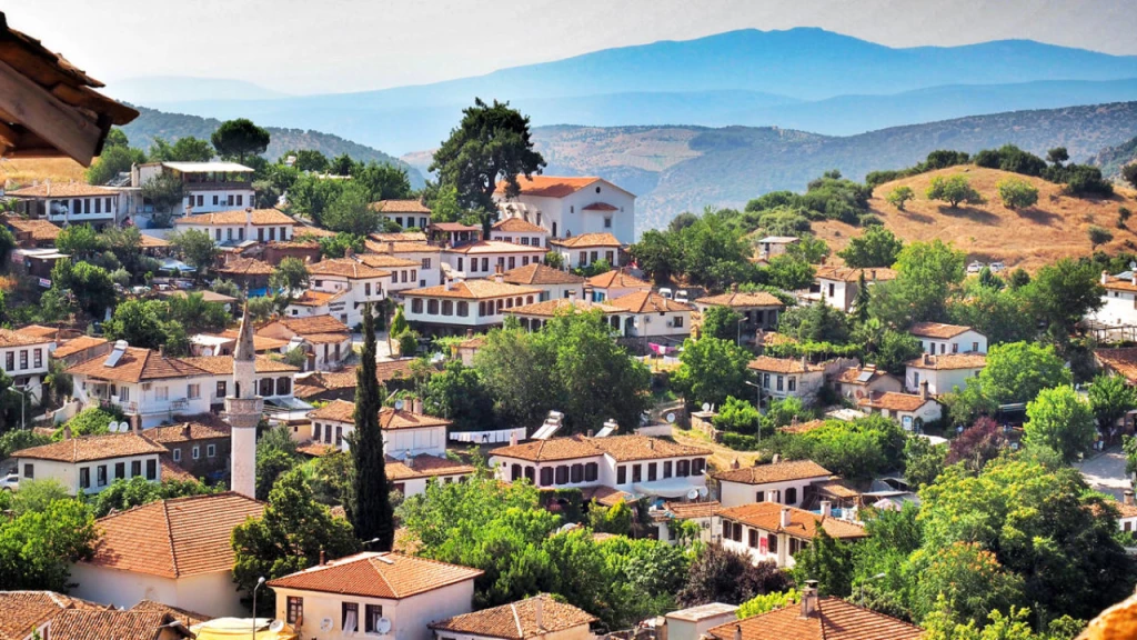 Skip the Line: Kusadasi Port to Ephesus & Sirince Village Tour