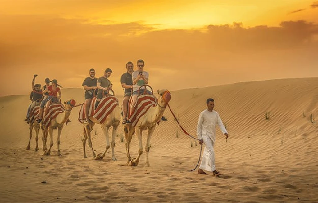 Desert Safari with BBQ Dinner