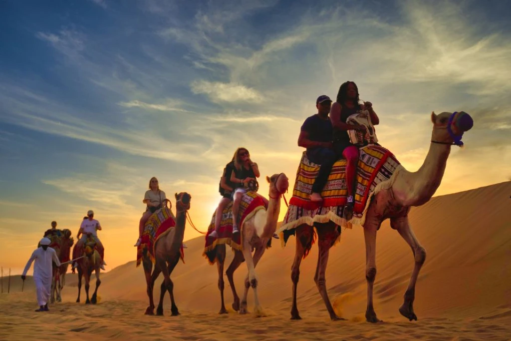 Desert Safari Overnight