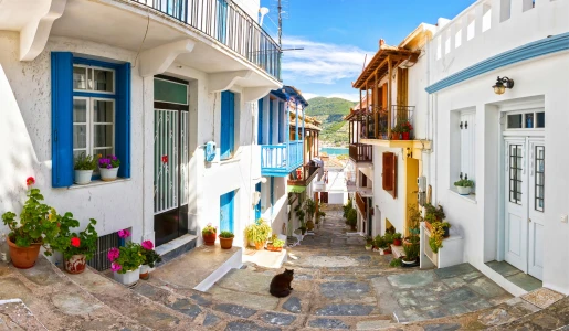 Avantajlı Samos Turu: 25 - 27 Eylül  2 Gece 3 Gün