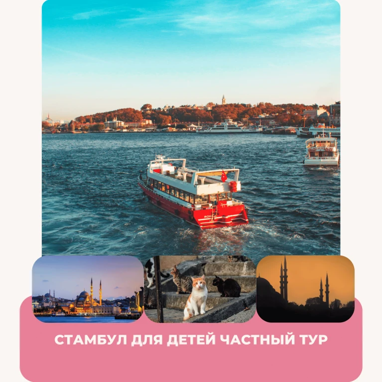 Tour privado de Estambul para niños