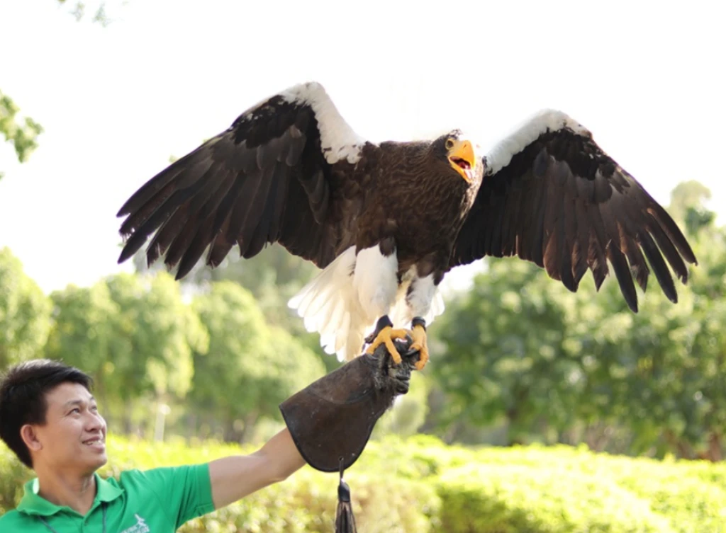 Exotic Bird Show