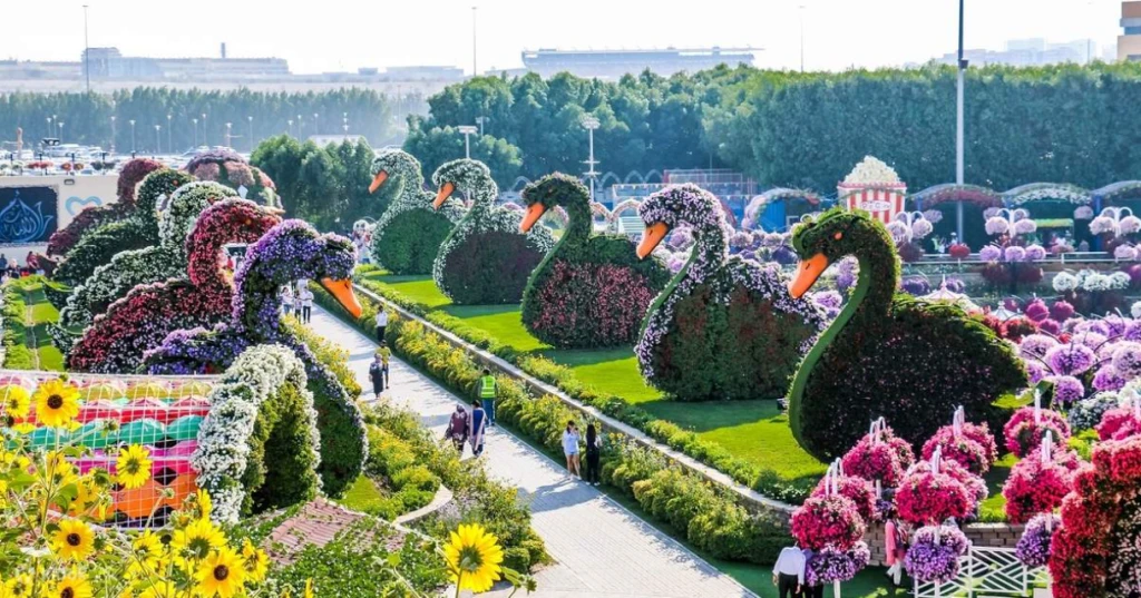 Miracle Garden Dubai Ticket