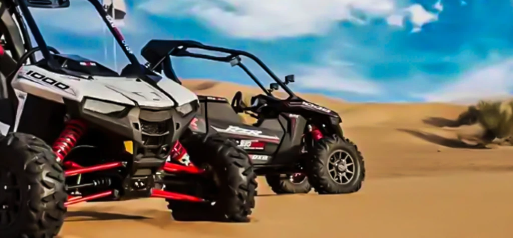 Desert Safari BBQ Dinner Buggy Experience (add-on only)