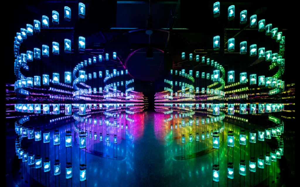 Museum of the Future (Pioneer Pass)