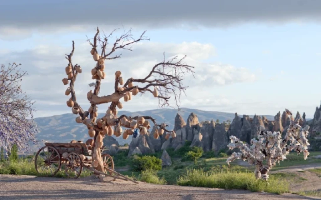 Groene Tour Cappadocia
