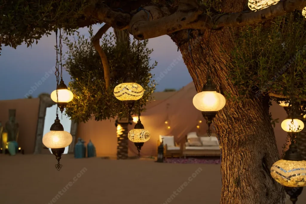 VIP Desert Safari