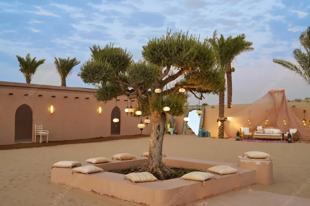 VIP Desert Safari