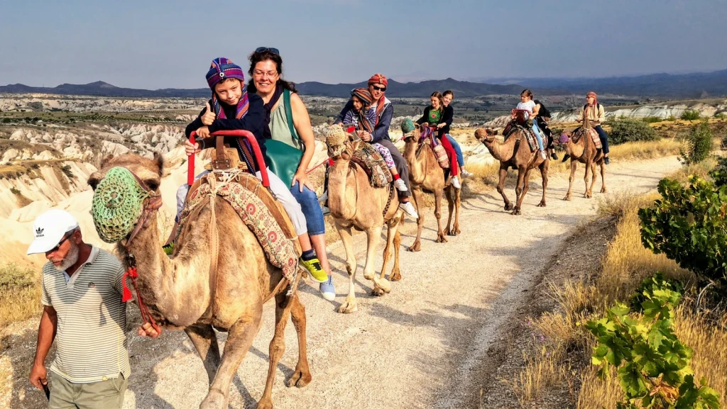 Camel Tour Cappadocia