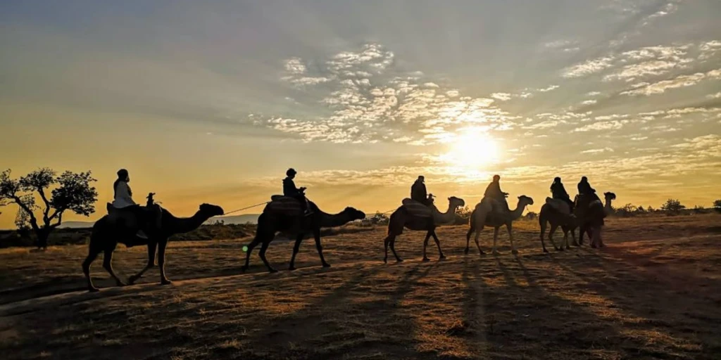Camel Tour Cappadocia