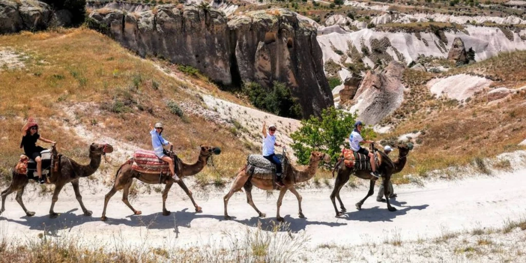 Camel Tour Cappadocia
