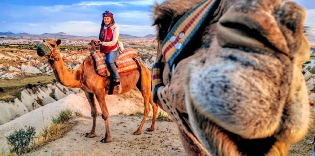 Camel Tour Cappadocia