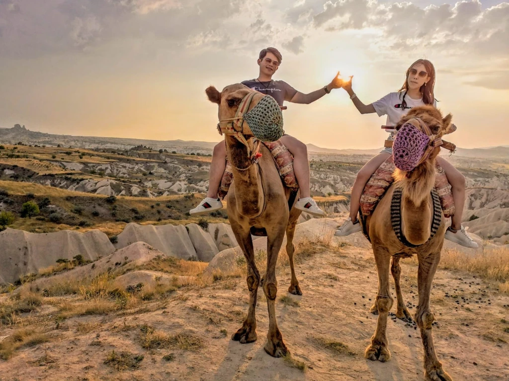 ΚΑΜΕΛ ΣΑΦΑΡΙ