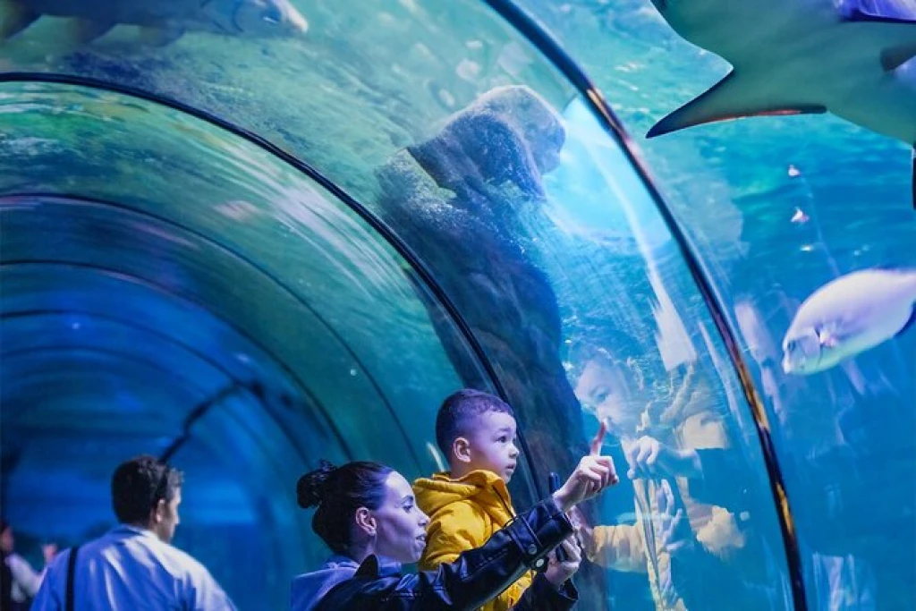 イスタンブール:3 で 1 楽しい と ビアシー 水族館とライオンパークのテーマパーク