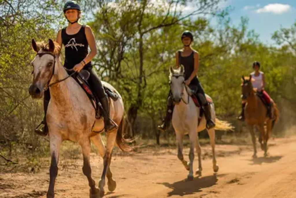 Istanbul: Paardrijdend bos 1 uur