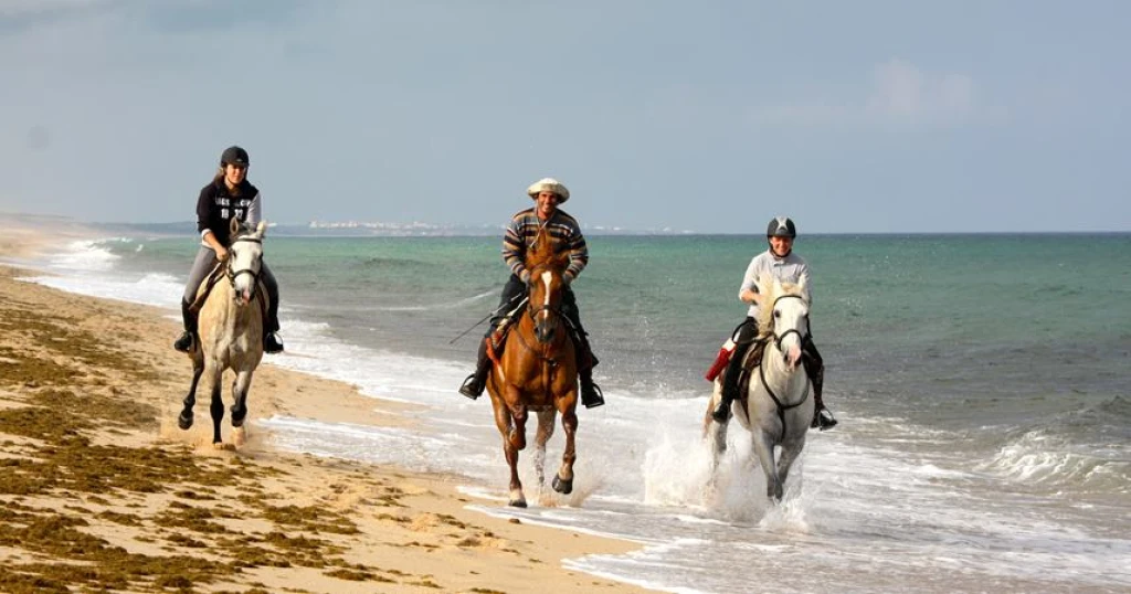 IStanbul: 1 godzina jazdy konnej na plaży + Vip Transfer
