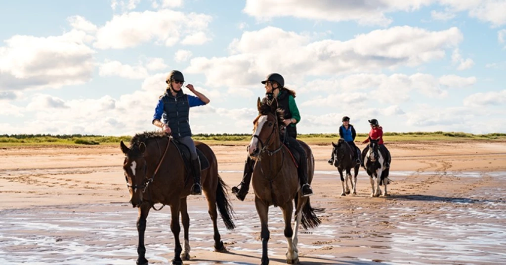 IStanbul: 1 godzina jazdy konnej na plaży + Vip Transfer