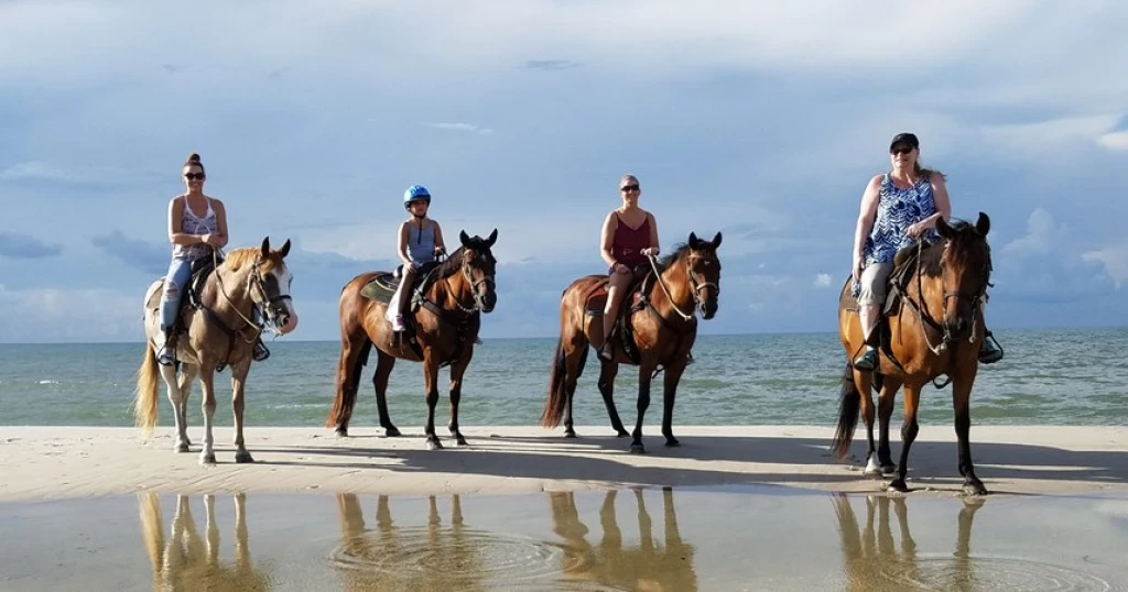 IStanbul: 1 godzina jazdy konnej na plaży + Vip Transfer