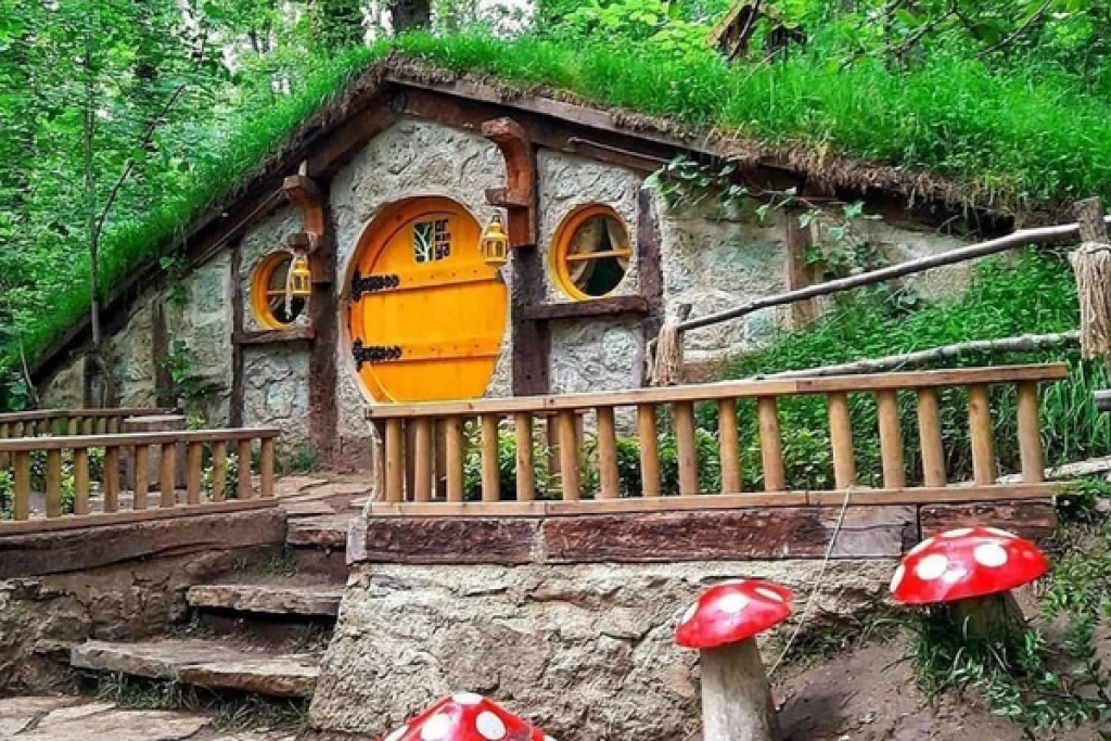 Daily Sapanca & Masukiye Tour