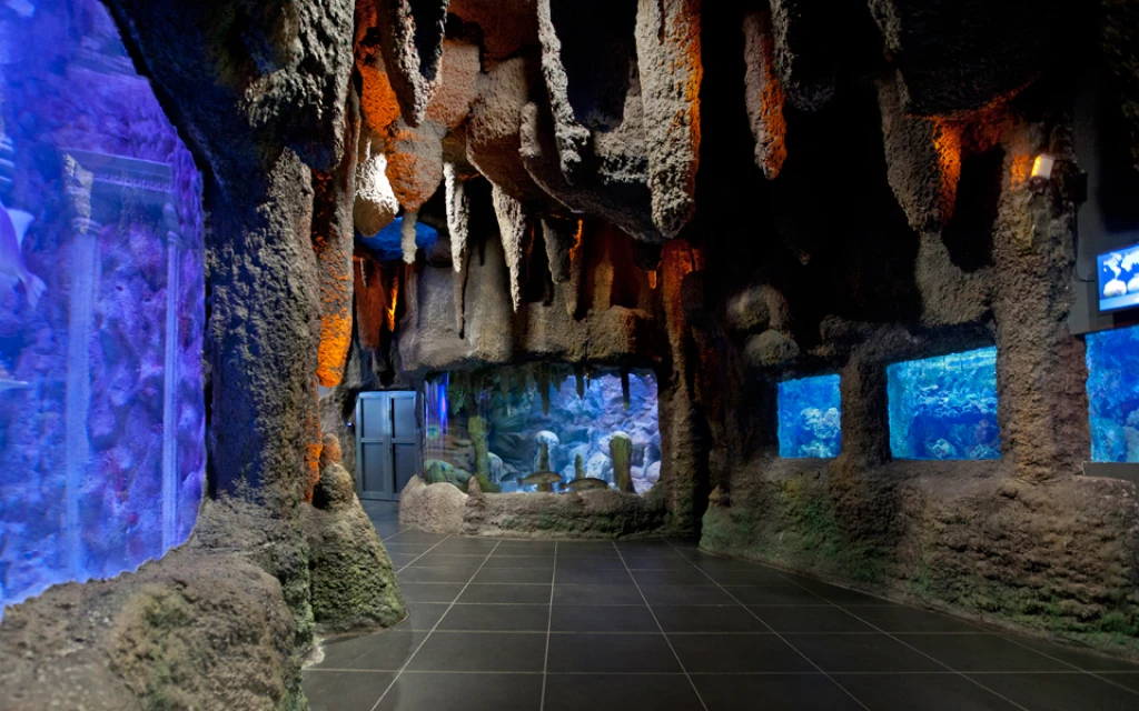 Viasea 2 en 1 Aquarium & Leonpark + Transfert VIP