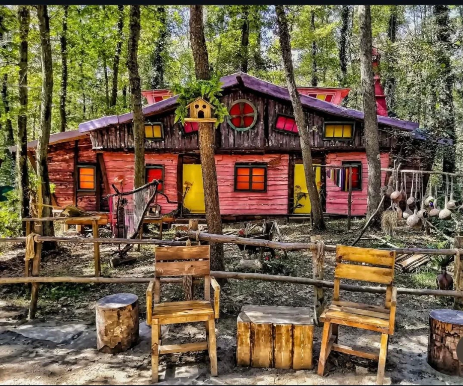 ORMANYA - HOBİT EVLERİ-CAM TERAS-MAŞUKİYE GEZİSİ (22 KASIM)