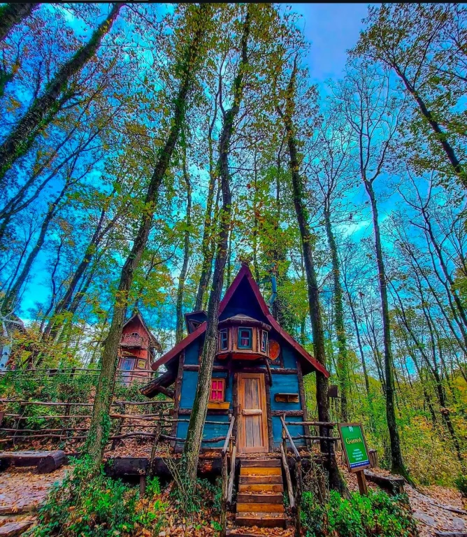 ORMANYA - HOBİT EVLERİ-CAM TERAS-MAŞUKİYE GEZİSİ (22 KASIM)