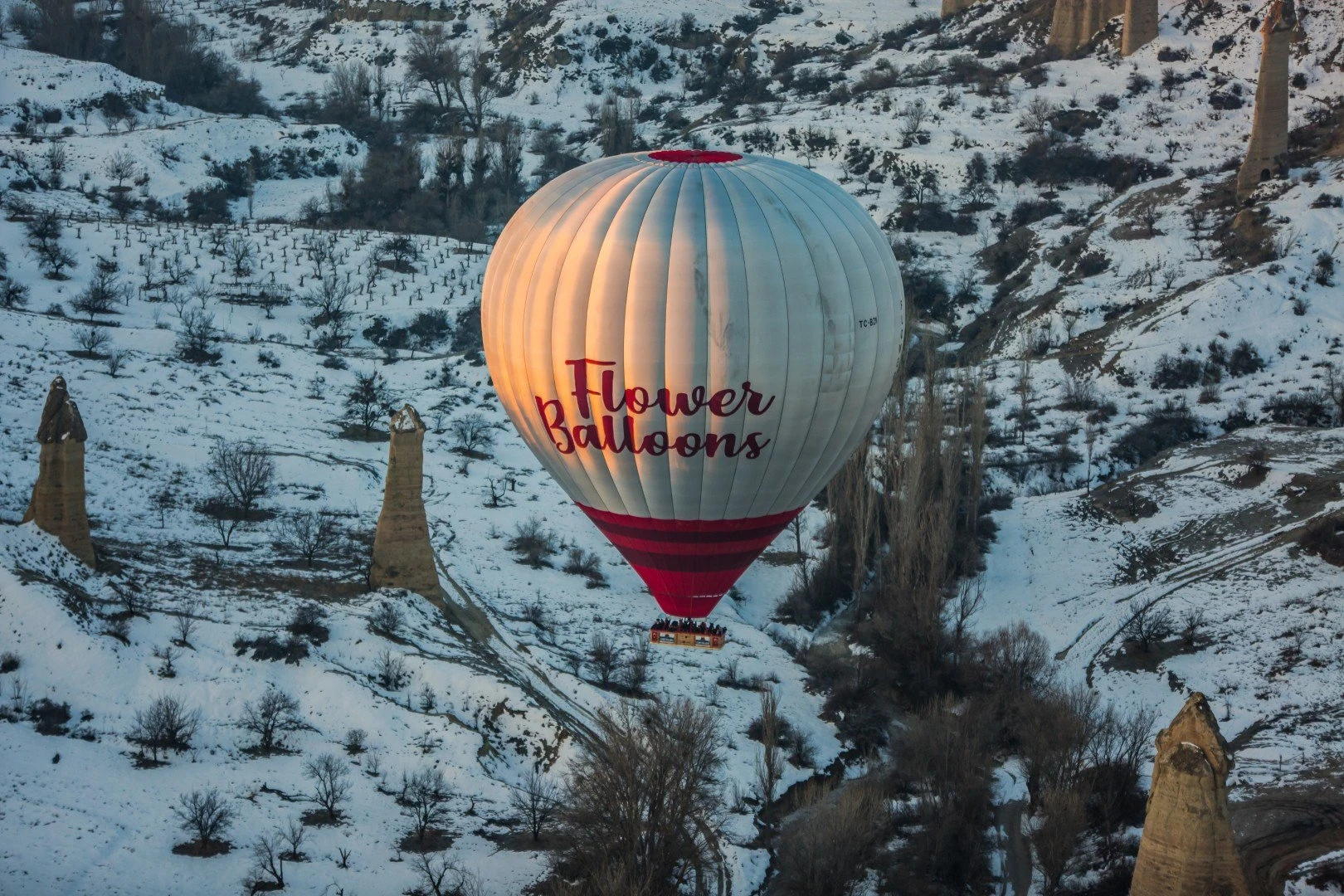天空中的梦：花朵气球