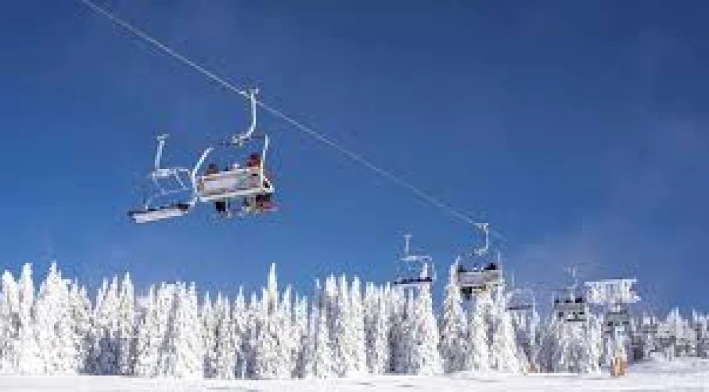 Bursa Uludag Daily Group Tour from İstanbul