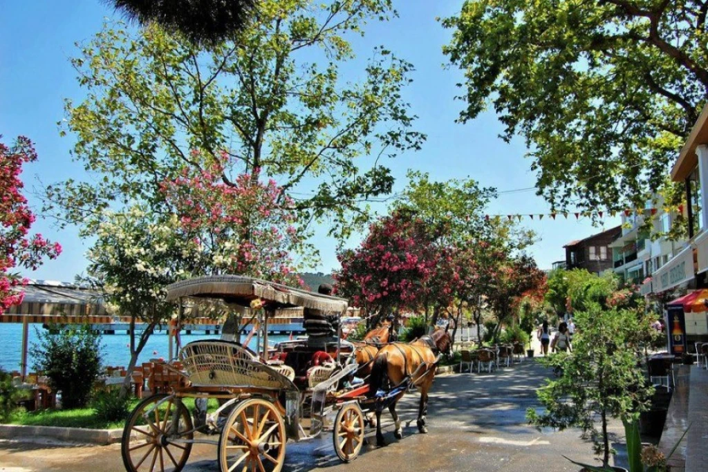 Full Day Island Tour from İstanbul