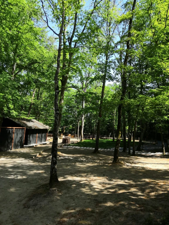 Forest Kemerburgaz'da Doğa ile iç içe bir deneyim